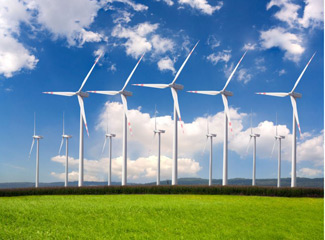 Польша проявляет интерес к строительству ветряных электростанций