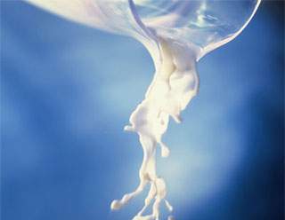 Польша пытается не допустить кризиса молочной промышленности