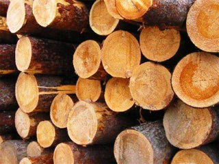 Компании призывают к стабильным поставкам древесины