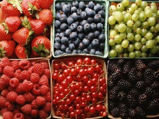 Польша возобновила экспорт своих фруктов и овощей