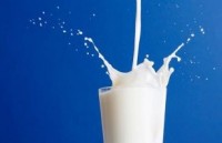 Польша будет продавать молоко Беларуси