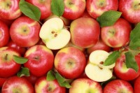 В Польшу вернули 39 тонн яблок