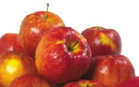 Польские предприниматели хотят бесплатно отдать яблоки Калининграду
