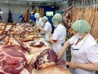 Поляки просят разрешить экспорт мяса