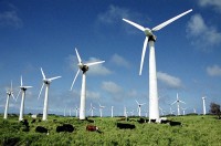 Польша делает ставку на энергию ветра