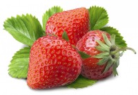 Польские ягоды станут известны во всем мире