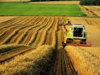 Польша будет сотрудничать с Молдовой в сельскохозяйственном секторе