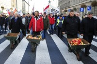В Польше снова протестуют фермеры
