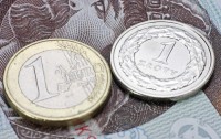 Польше рано переходить на евро, - министр финансов