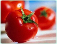 Поляки кормят томатами страны СНГ