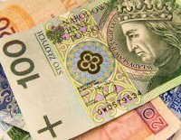 Польская оппозиция не желает менять злотый на евро