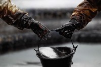 Польские нефтяные компании ищут месторождения на севере страны