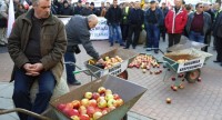 Польское правительство поможет фермерам